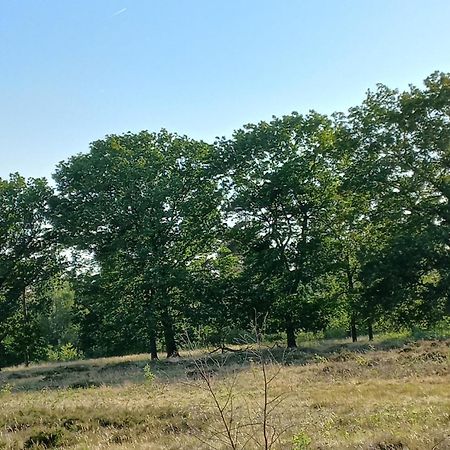 Vila Vogelzang Hattemerbroek Pokoj fotografie