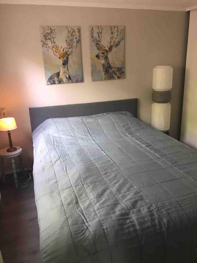 Vila Vogelzang Hattemerbroek Exteriér fotografie