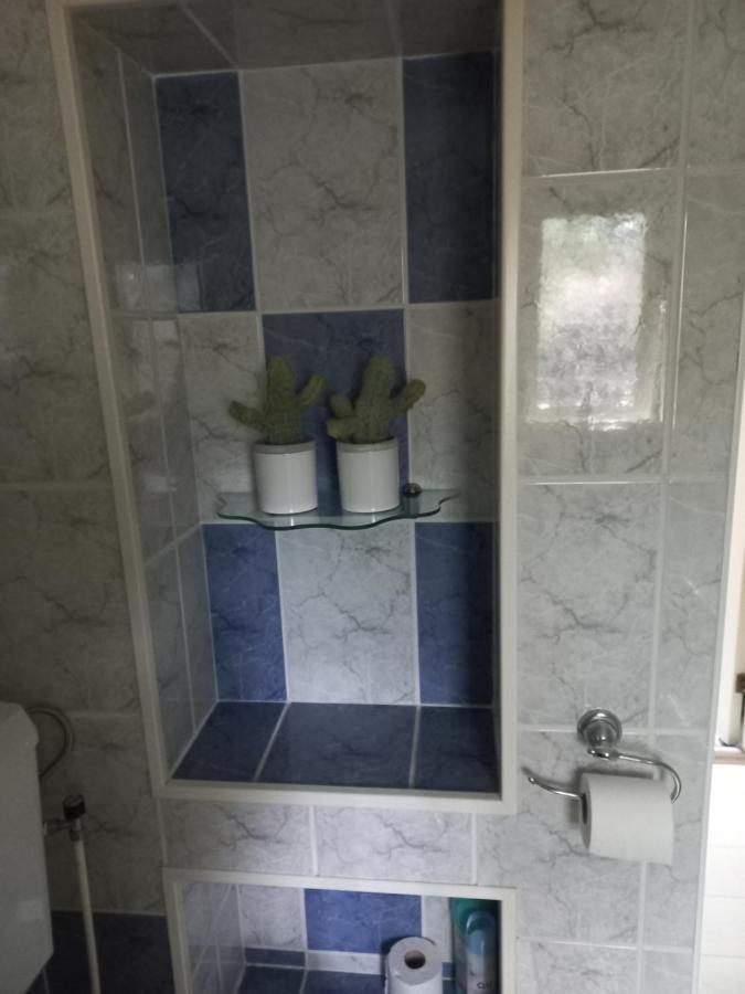 Vila Vogelzang Hattemerbroek Exteriér fotografie